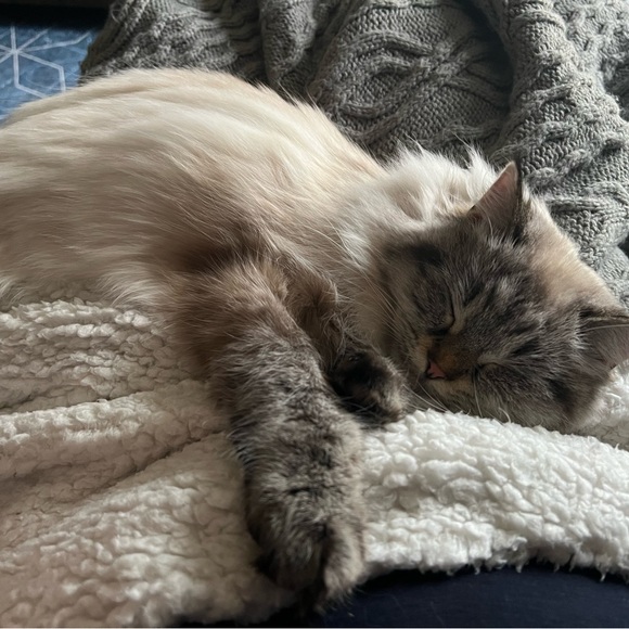 Meet Your Posher! 😉 - Picture 9 of 10